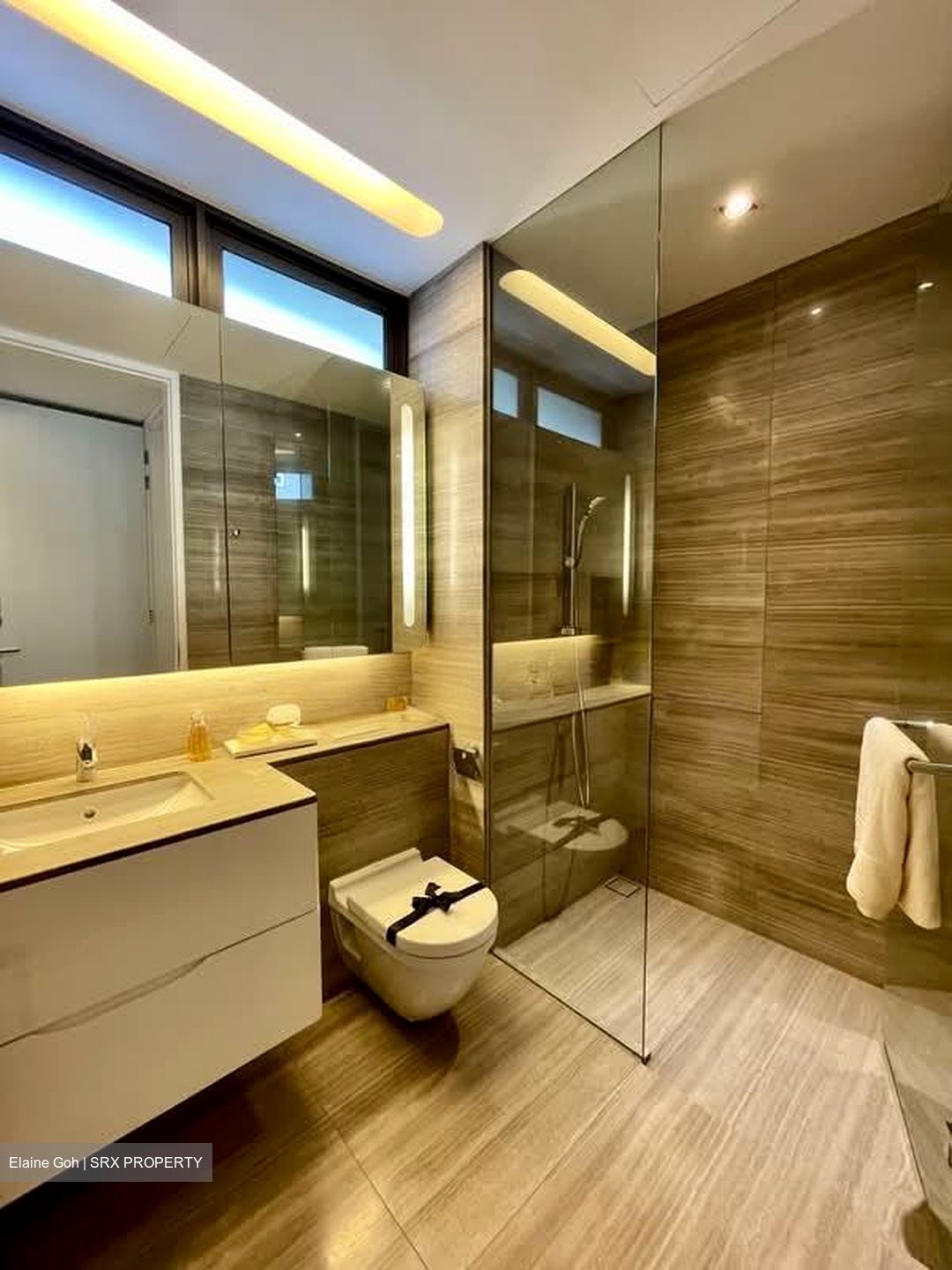 Lloyd Sixtyfive (D9), Apartment #624889331